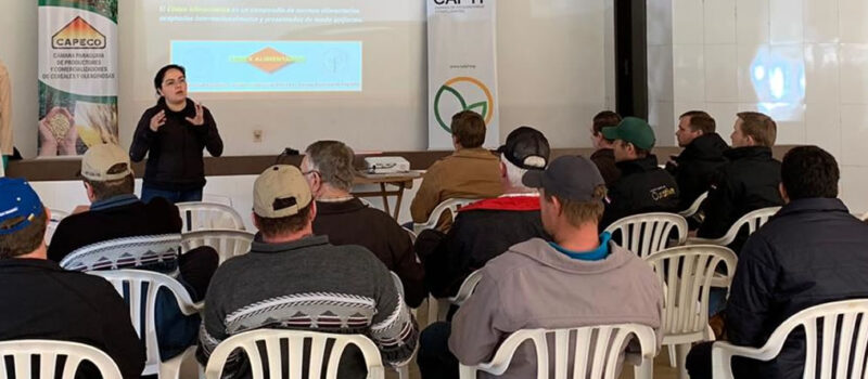 CAPECO, CAFYF y SENAVE capacitaron sobre  LMR en zonas de producción de granos