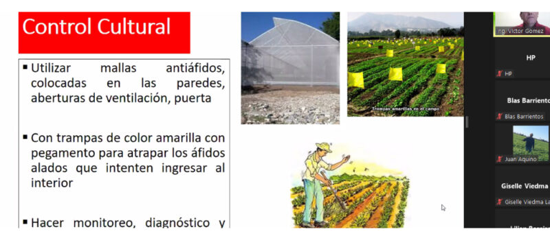 El Manejo Integrado de Plagas en Horticultura