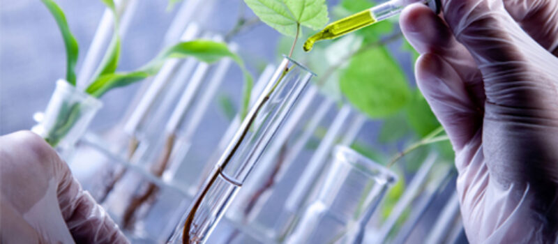 Biotecnología