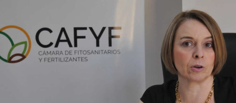 CAFYF presentó su evento Sembrando