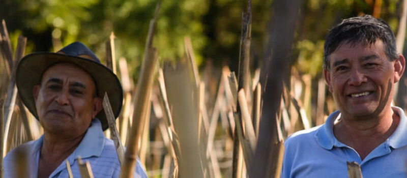 CAFYF y Fundación Capital firman acuerdo de cooperación a favor de la agricultura sustentable y sostenible.