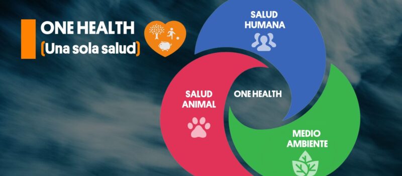 CAFYF apoyó Webinar Internacional sobre Avances en Toxicología en Latinoamérica